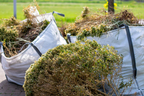 Shed Removal in Rockford, MN